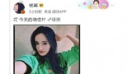 明星视频在线观看 吃瓜爆料网八卦有理爆料